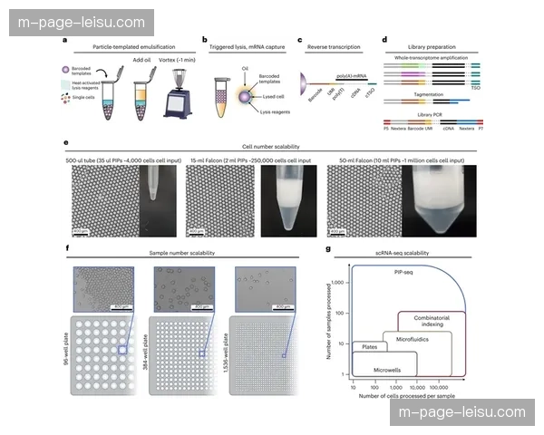 机器学习辅助包装模板自动生成 提升了直播画面的信息承载量